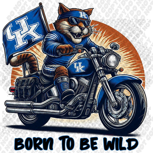 Kentucky Wildcats Born to be Wild DTF Transfer