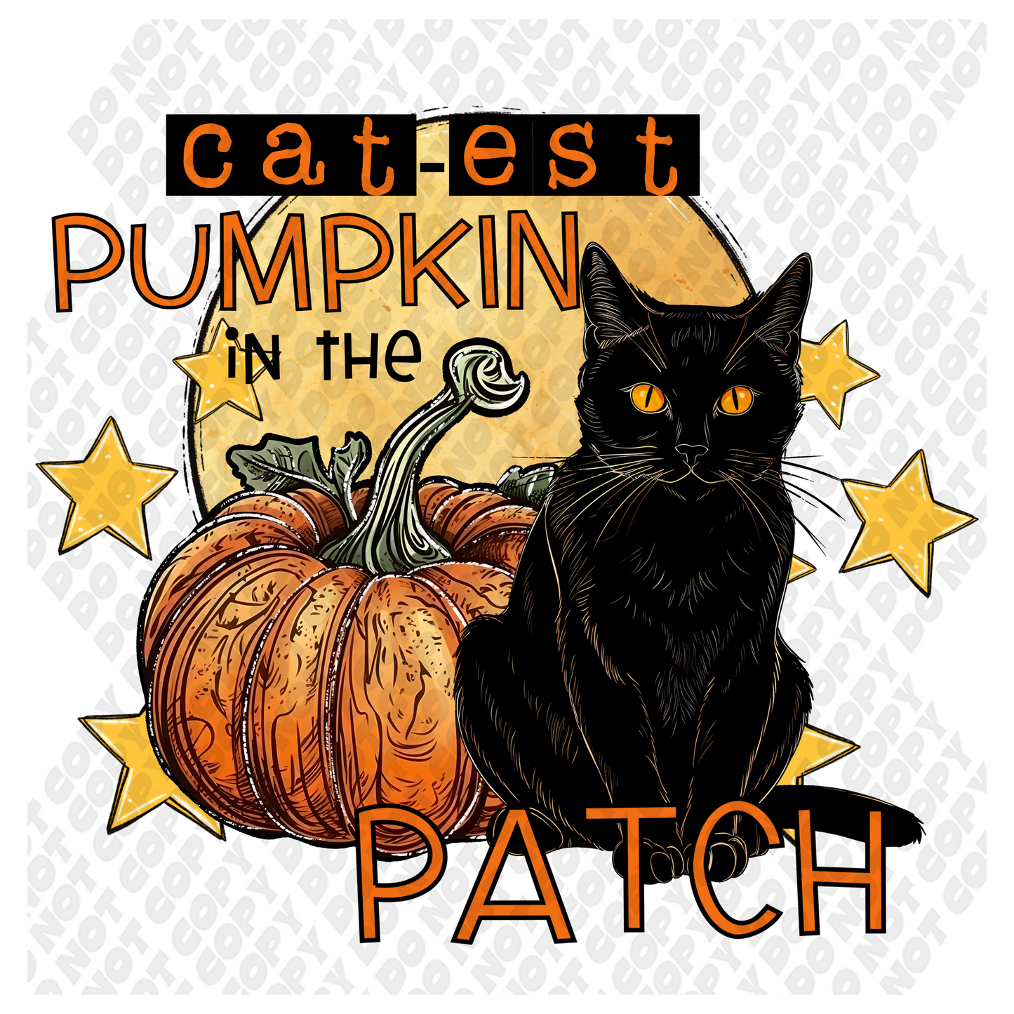 Catest Pumpkin Patch