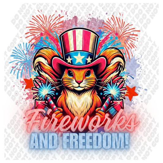 Fireworks And Freedom Squirrel 4th of July DTF Transfer