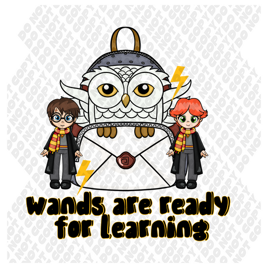 Harry Potter school