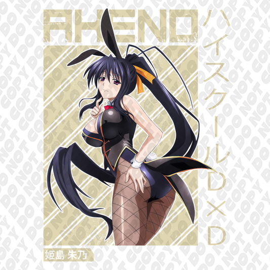 Akeno Bunny DTF Transfer