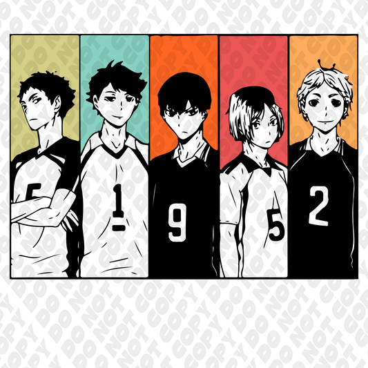 Haikyu!! Team Photo