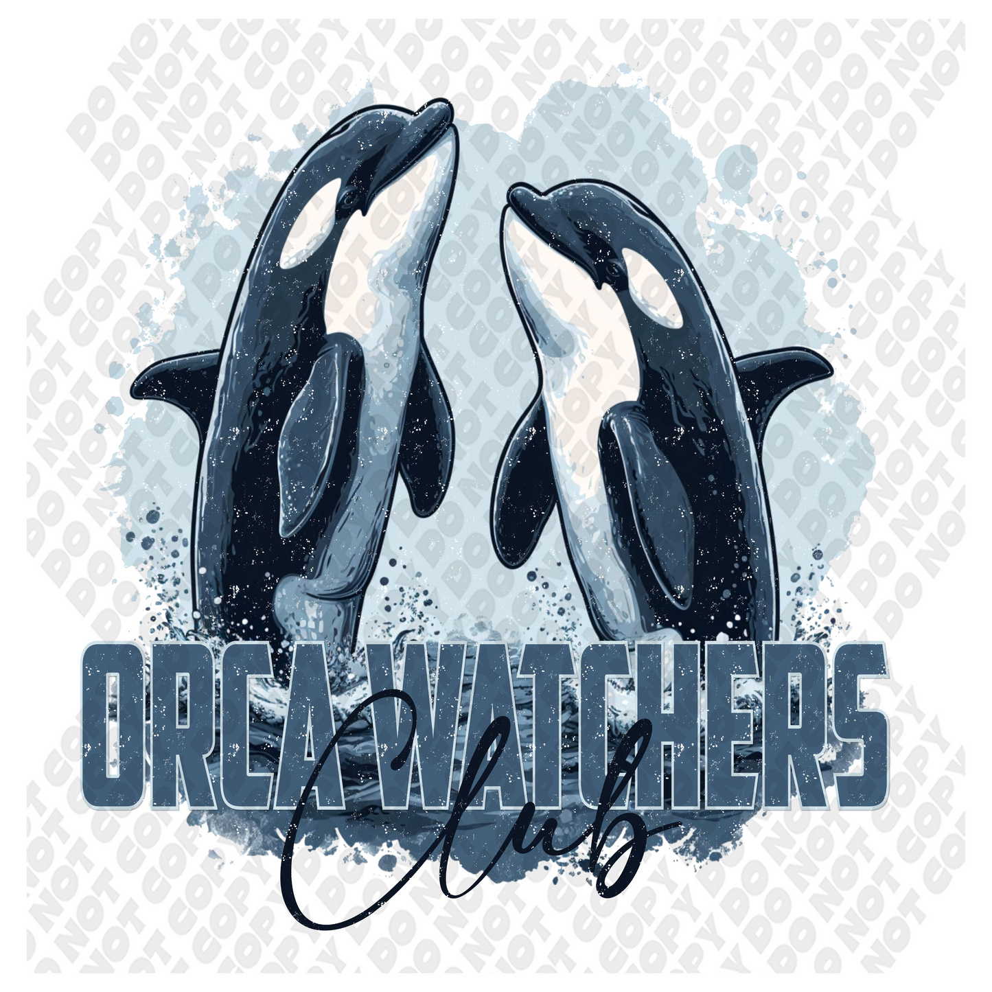 Orca watchers club