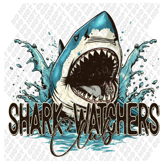 Shark Watchers Club