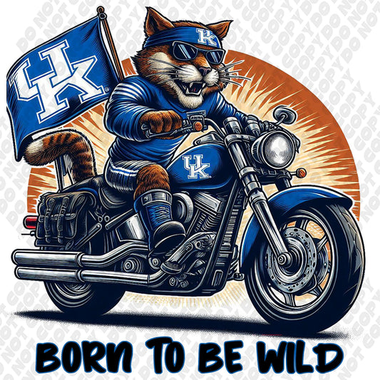 Kentucky Wildcats Born to be Wild Transfer