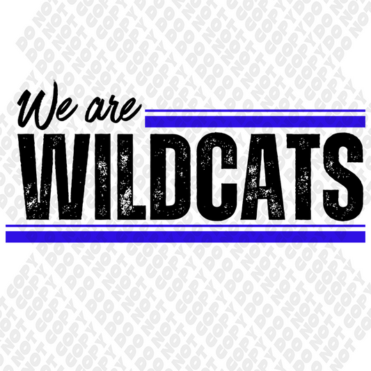 We are Wildcats Transfer