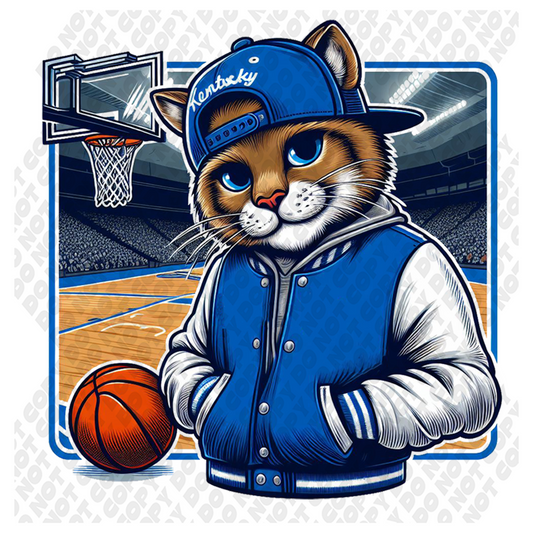 Kentucky Wildcat Basketball Transfer