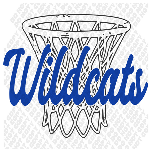 Wildcat Basketball Transfer