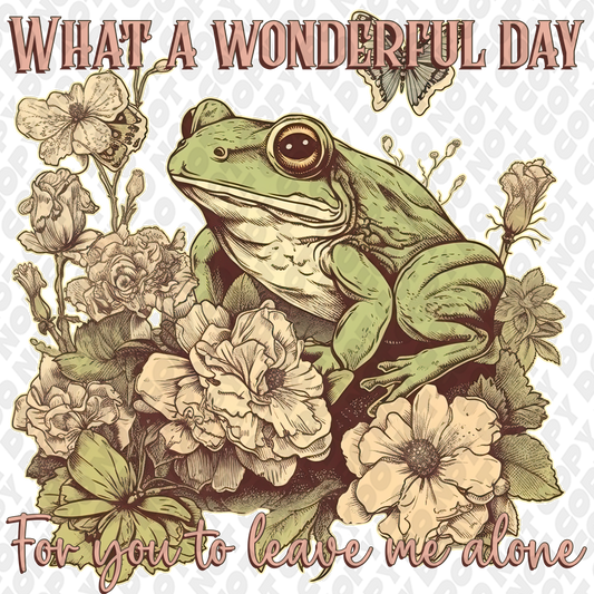 Wonderful day frog